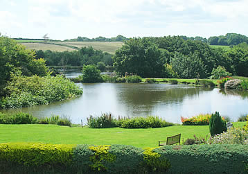 Trout lake and coarse lake