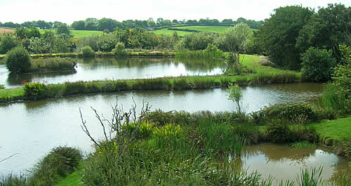 Our coarse fishing lakes