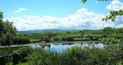 Guests may fish the lakes free of charge