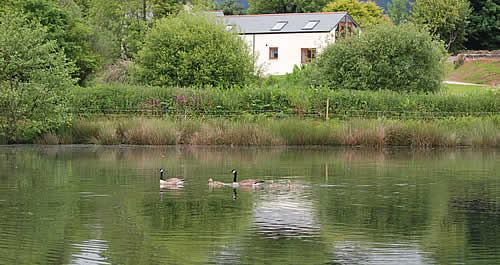 Lakeview, self catering cottage at Polhilsa Farm